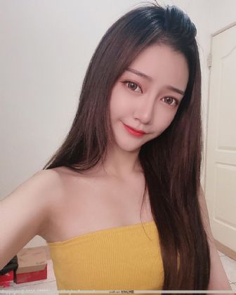 暴力之王小说
